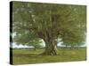 The Oak of Flagey, Called Vercingetorix-Gustave Courbet-Stretched Canvas