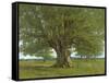 The Oak of Flagey, Called Vercingetorix-Gustave Courbet-Framed Stretched Canvas