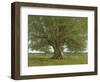 The Oak of Flagey, Called Vercingetorix-Gustave Courbet-Framed Premium Giclee Print
