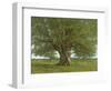 The Oak of Flagey, Called Vercingetorix-Gustave Courbet-Framed Premium Giclee Print