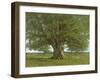 The Oak of Flagey, Called Vercingetorix-Gustave Courbet-Framed Giclee Print