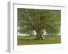 The Oak of Flagey, Called Vercingetorix-Gustave Courbet-Framed Giclee Print