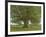 The Oak of Flagey, Called Vercingetorix-Gustave Courbet-Framed Giclee Print