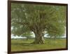 The Oak of Flagey, Called Vercingetorix-Gustave Courbet-Framed Giclee Print