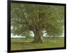 The Oak of Flagey, Called Vercingetorix-Gustave Courbet-Framed Giclee Print