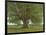 The Oak of Flagey, Called Vercingetorix-Gustave Courbet-Framed Giclee Print