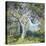 The Oak-Guy Rose-Stretched Canvas