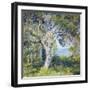 The Oak-Guy Rose-Framed Art Print