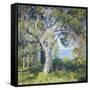 The Oak-Guy Rose-Framed Stretched Canvas