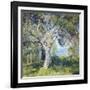 The Oak-Guy Rose-Framed Art Print