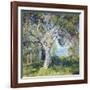 The Oak-Guy Rose-Framed Art Print