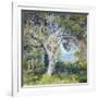 The Oak-Guy Rose-Framed Art Print