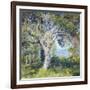 The Oak-Guy Rose-Framed Art Print