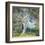 The Oak-Guy Rose-Framed Art Print