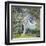 The Oak-Guy Rose-Framed Art Print