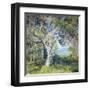 The Oak-Guy Rose-Framed Art Print