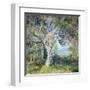 The Oak-Guy Rose-Framed Art Print