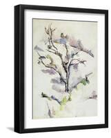 The Oak-Paul Cézanne-Framed Giclee Print