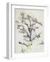 The Oak-Paul Cézanne-Framed Giclee Print