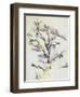 The Oak-Paul Cézanne-Framed Giclee Print