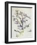 The Oak-Paul Cézanne-Framed Giclee Print