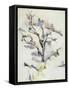 The Oak-Paul Cézanne-Framed Stretched Canvas