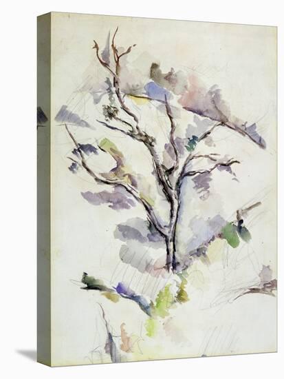The Oak-Paul Cézanne-Stretched Canvas