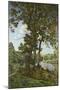 The Oaks of Chateau-Renard, 1875-Henri-Joseph Harpignies-Mounted Giclee Print