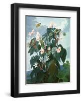 The Oblique-Leaved Begonia, Engraved by Caldwell, from 'The Temple of Flora' by Robert Thornton,…-Philip Reinagle-Framed Giclee Print