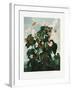 The Oblique–Leaved Begonia from the Temple of Flora (1807)-Robert John Thornton-Framed Photographic Print