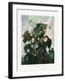 The Oblique–Leaved Begonia from the Temple of Flora (1807)-Robert John Thornton-Framed Photographic Print
