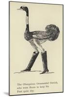 The Obsequious Ornamental Ostrich-Edward Lear-Mounted Premium Giclee Print