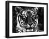 The Observer Black & White-Dana Brett Munach-Framed Giclee Print