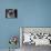 The Observer Black & White-Dana Brett Munach-Stretched Canvas displayed on a wall