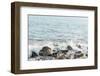 The Ocean Breeze-Elena Chukhlebova-Framed Photographic Print