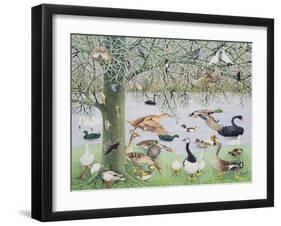 The Odd Duck-Pat Scott-Framed Giclee Print