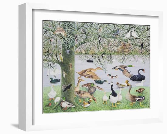 The Odd Duck-Pat Scott-Framed Giclee Print