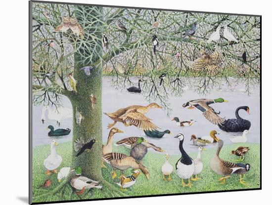 The Odd Duck-Pat Scott-Mounted Giclee Print