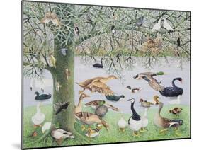 The Odd Duck-Pat Scott-Mounted Giclee Print