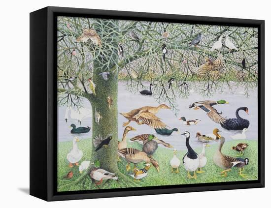 The Odd Duck-Pat Scott-Framed Stretched Canvas