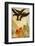 The Odyssey by Homere: the Eagles of the Omen, 1930-1933-null-Framed Photo