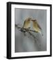 The Offering-Rick Tomalty-Framed Giclee Print