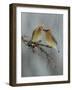 The Offering-Rick Tomalty-Framed Photographic Print
