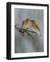 The Offering-Rick Tomalty-Framed Photographic Print