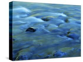 The Ohanapecosh River, Mt. Rainier National Park, Washington, USA-Charles Gurche-Stretched Canvas