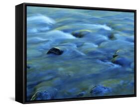 The Ohanapecosh River, Mt. Rainier National Park, Washington, USA-Charles Gurche-Framed Stretched Canvas