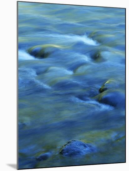 The Ohanapecosh River, Mt. Rainier National Park, Washington, USA-Charles Gurche-Mounted Premium Photographic Print