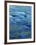 The Ohanapecosh River, Mt. Rainier National Park, Washington, USA-Charles Gurche-Framed Photographic Print