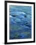 The Ohanapecosh River, Mt. Rainier National Park, Washington, USA-Charles Gurche-Framed Photographic Print