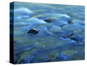 The Ohanapecosh River, Mt. Rainier National Park, Washington, USA-Charles Gurche-Stretched Canvas